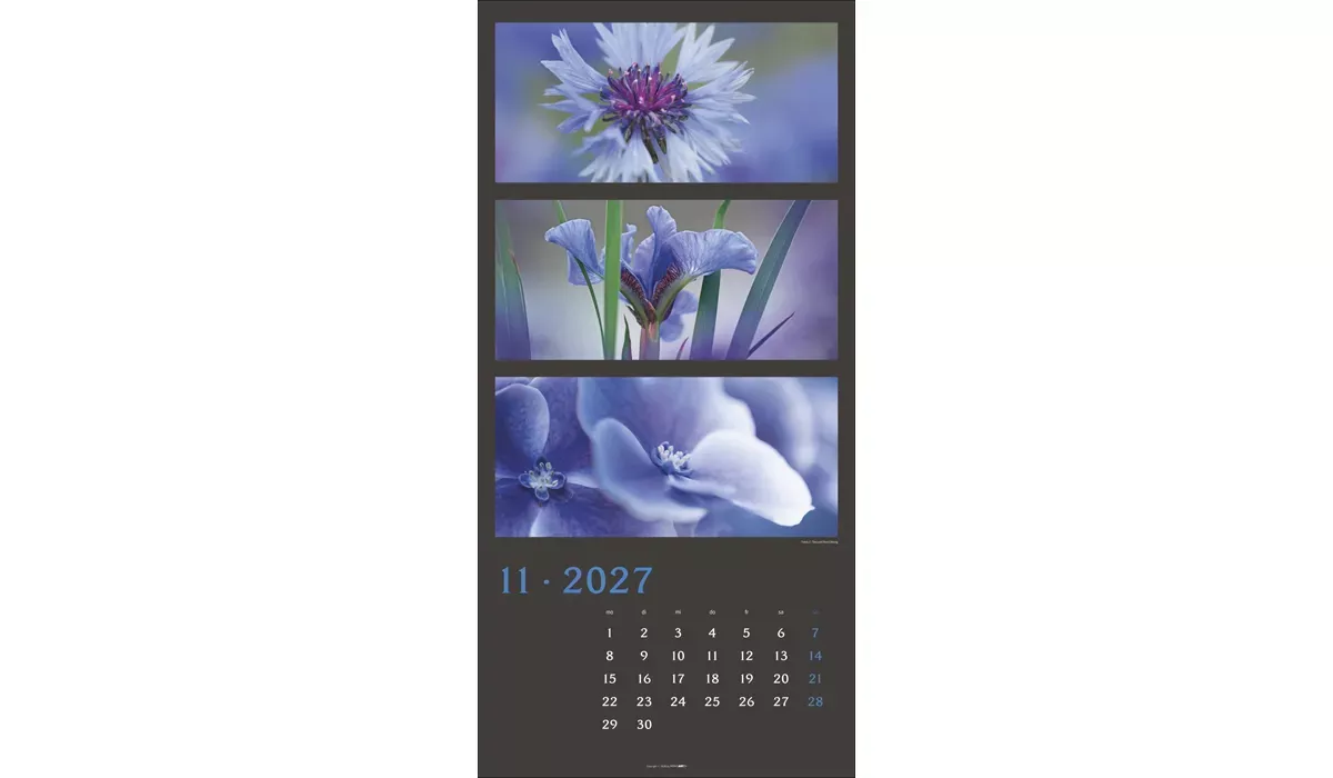 Weingarten Die Farben der Natur Kalender 2027