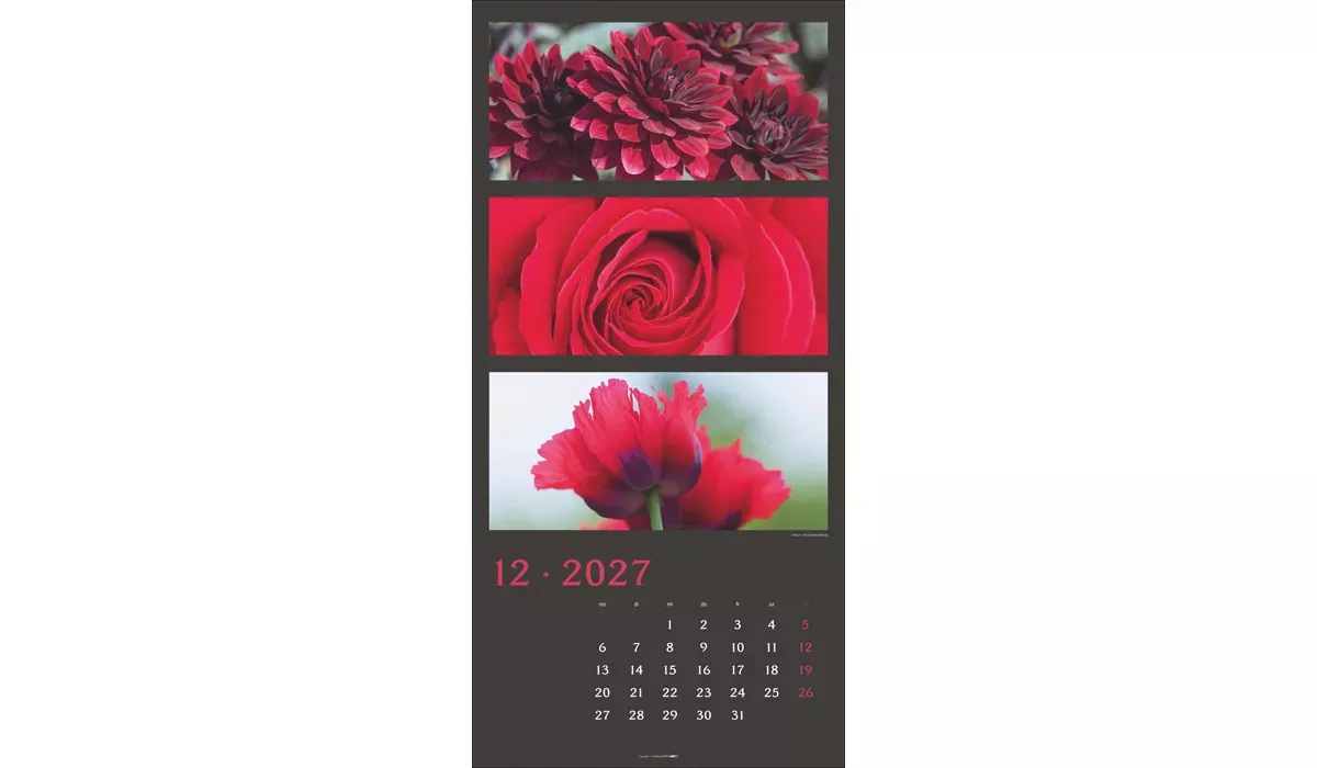 Weingarten Die Farben der Natur Kalender 2027