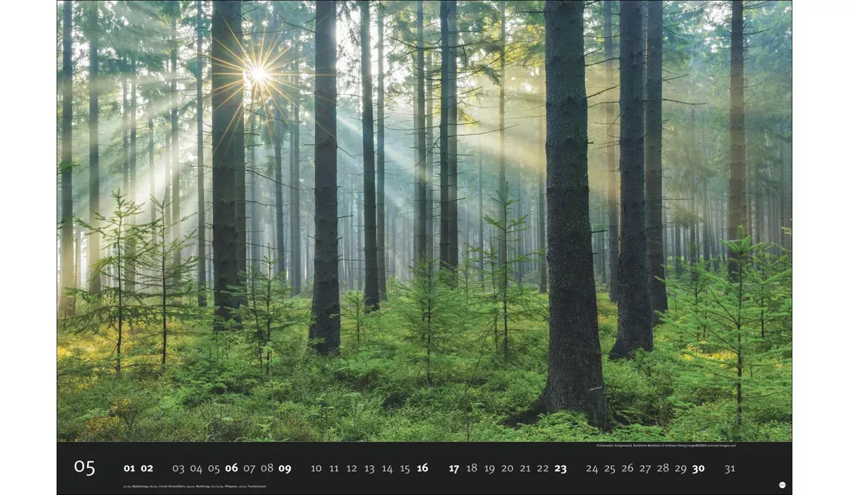 Heye Deutschlands Naturparadiese Kalender 2027