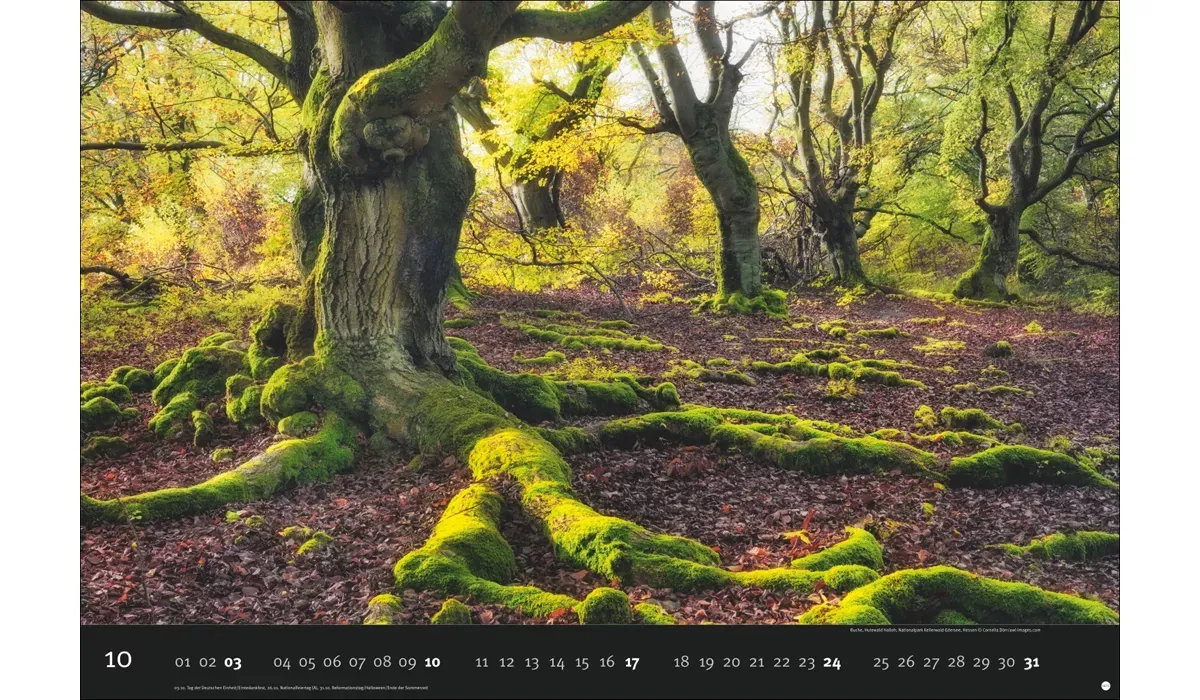 Heye Deutschlands Naturparadiese Kalender 2027