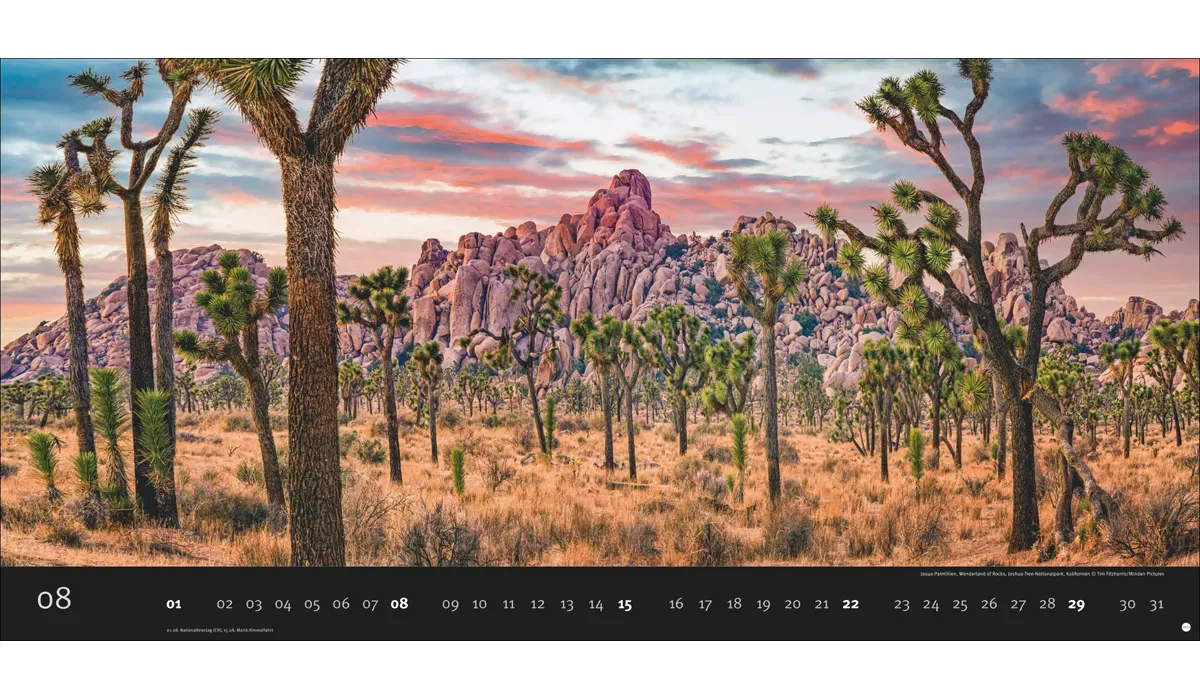 advertising calendar: Magic Moments Panorama 2027