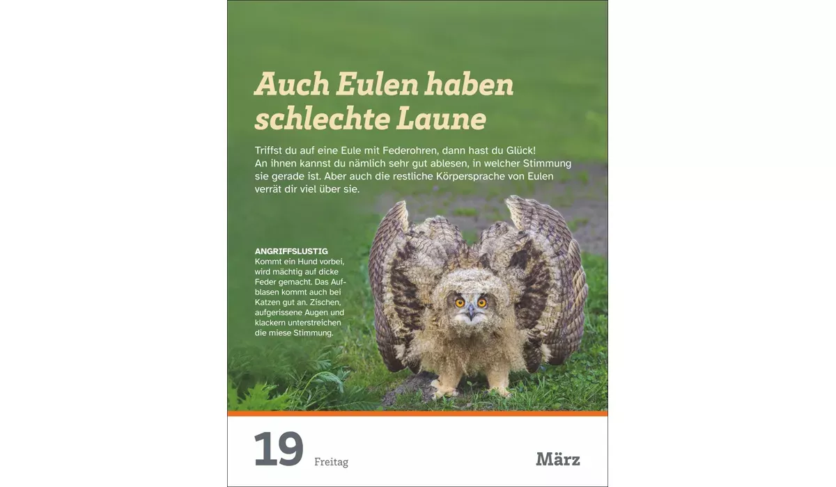 Harenberg WAS IST WAS Der Kalender Tagesabreißkalender 2027