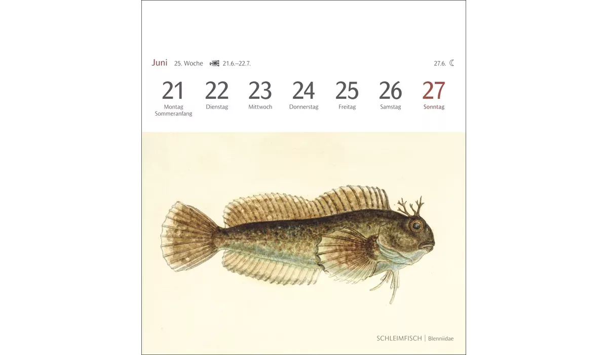 advertising calendar: Fish postcard calendar 2027