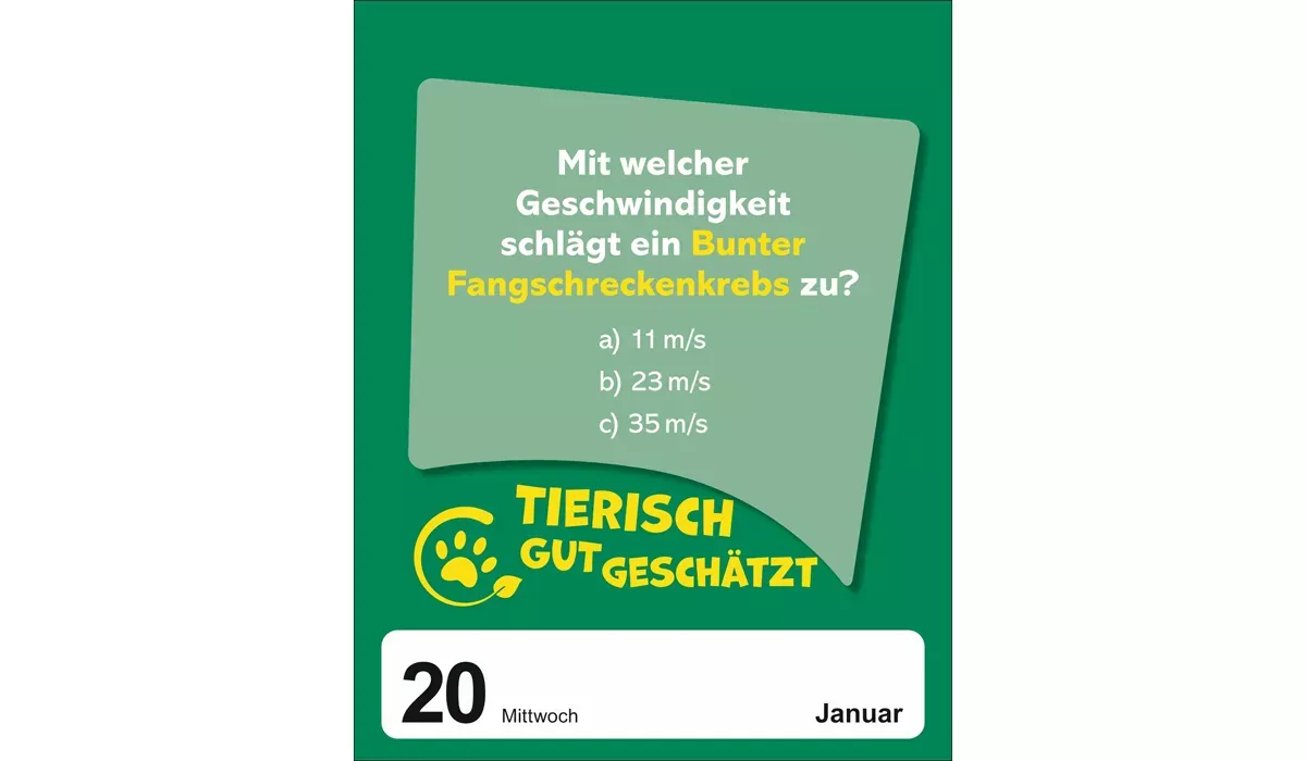 advertising calendar: What do you guess? Daily calendar 2027