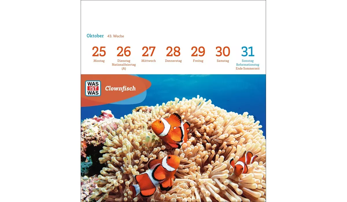 advertising calendar: WHAT IS WHAT genius animals postcard calendar 2027