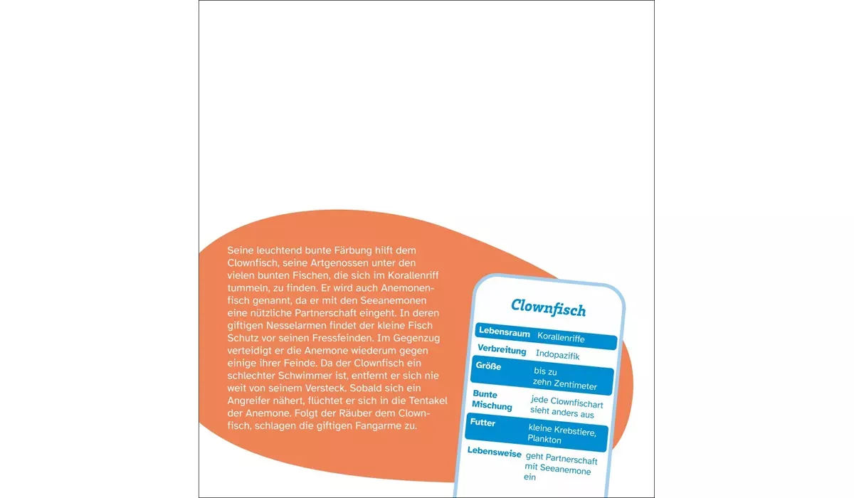 advertising calendar: WHAT IS WHAT genius animals postcard calendar 2027