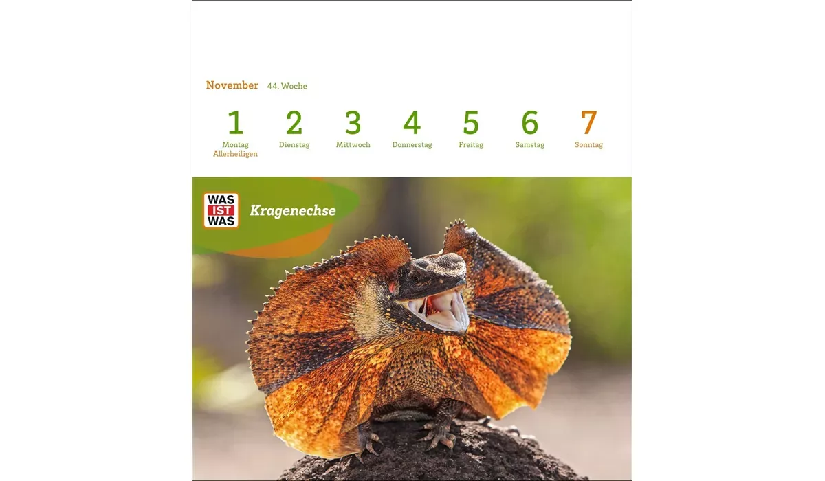 advertising calendar: WHAT IS WHAT genius animals postcard calendar 2027