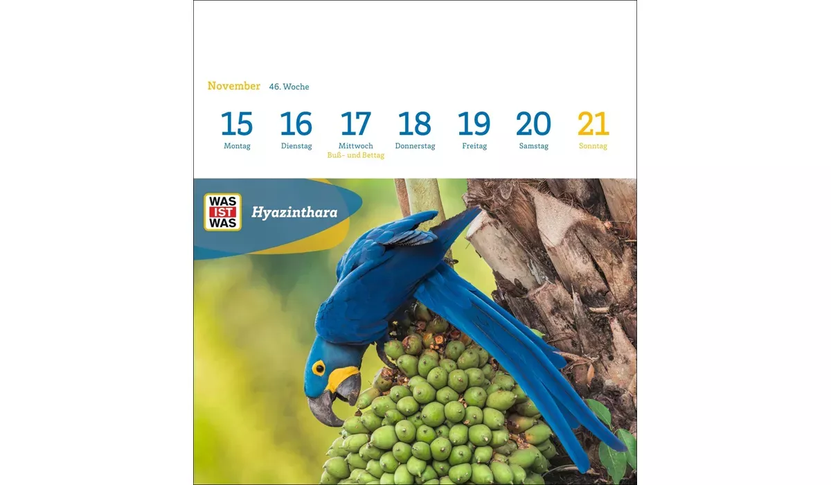 advertising calendar: WHAT IS WHAT genius animals postcard calendar 2027
