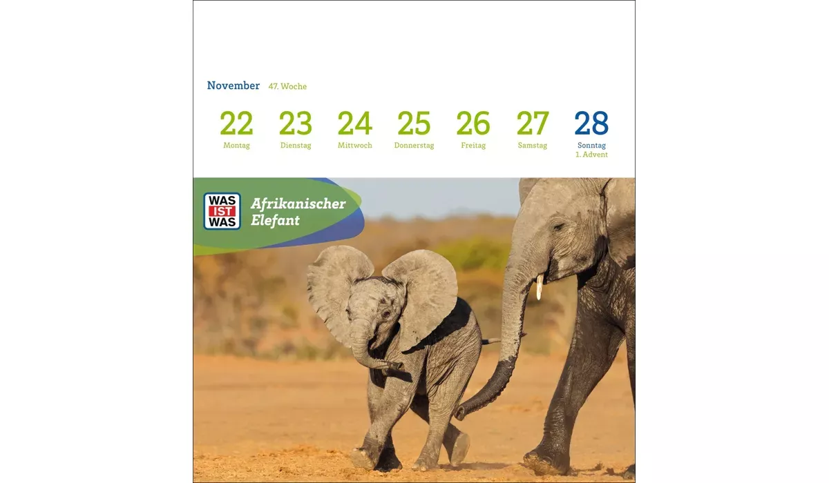 advertising calendar: WHAT IS WHAT genius animals postcard calendar 2027