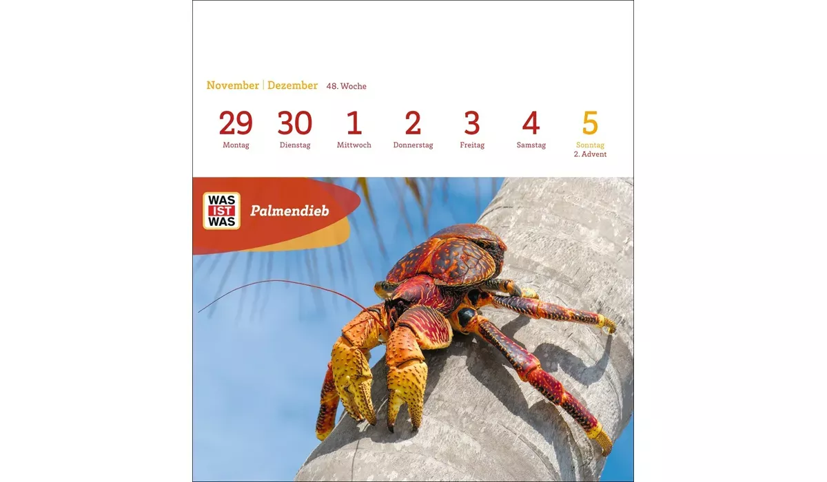 advertising calendar: WHAT IS WHAT genius animals postcard calendar 2027