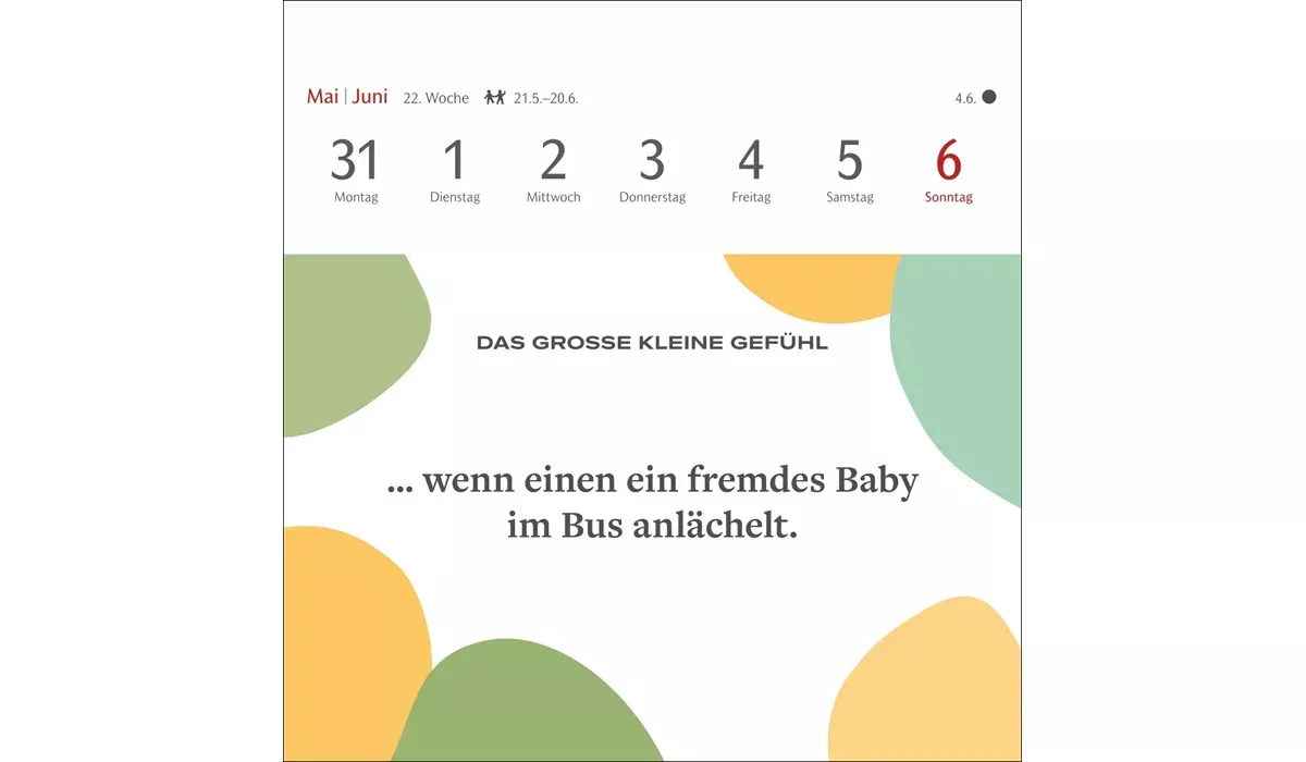 advertising calendar: The Big Little Feeling premium postcard calendar 2027