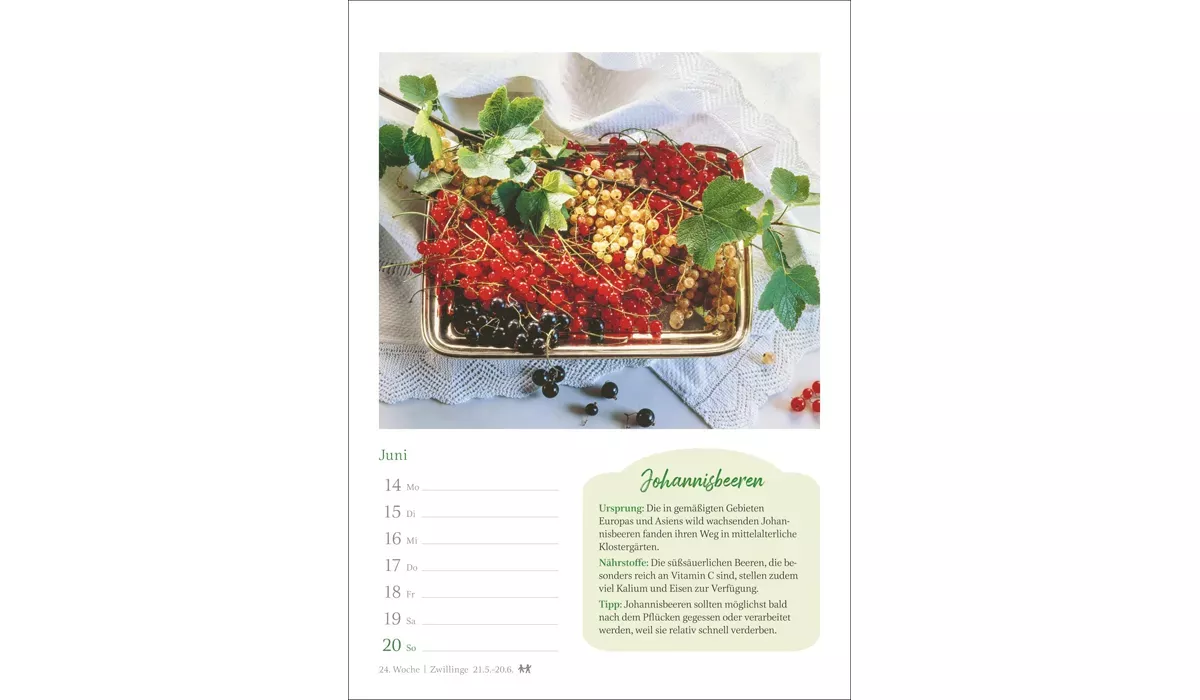 advertising calendar: The small kitchen planner 2027