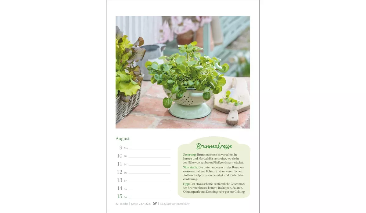 advertising calendar: The small kitchen planner 2027