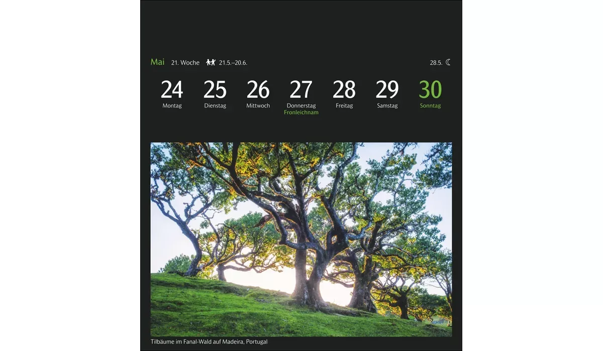 advertising calendar: GEO magic nature postcard calendar 2027
