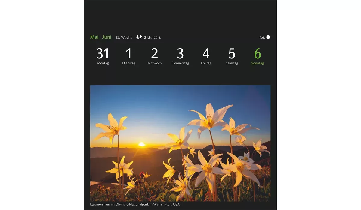 advertising calendar: GEO magic nature postcard calendar 2027
