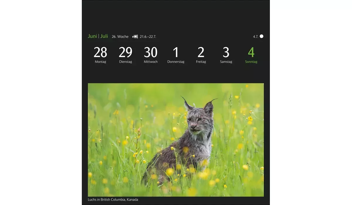 advertising calendar: GEO magic nature postcard calendar 2027