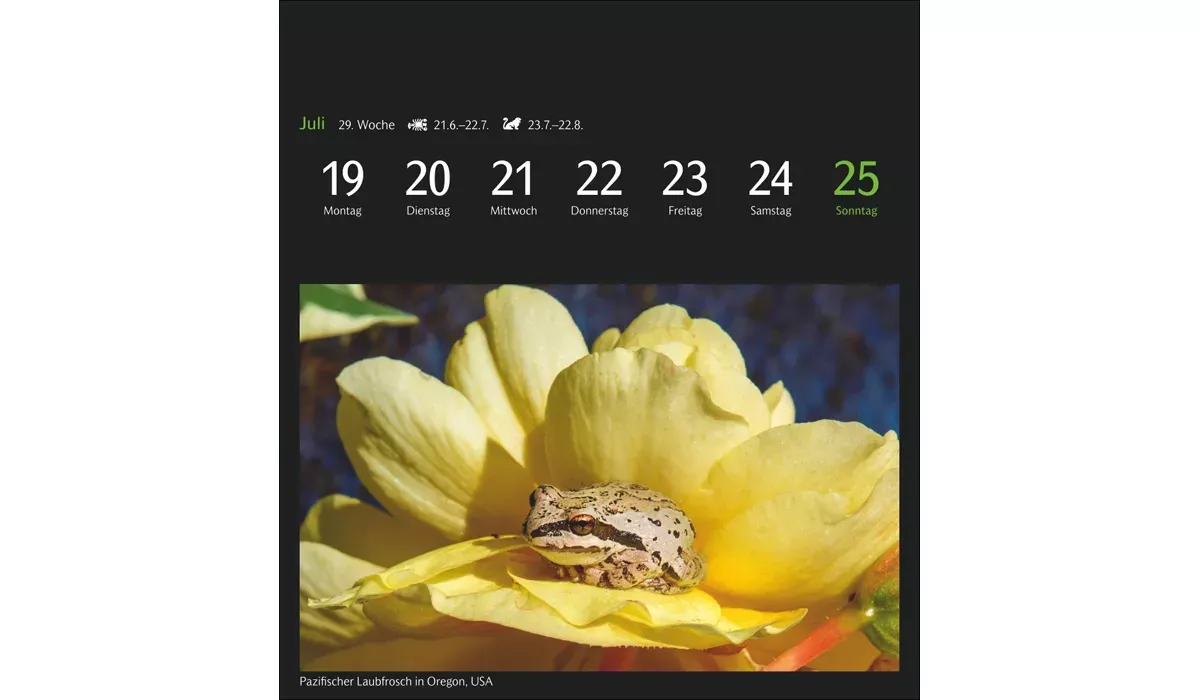 advertising calendar: GEO magic nature postcard calendar 2027