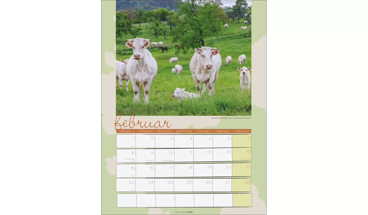advertising calendar: Cow Calendar 2027