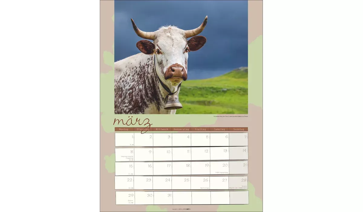 advertising calendar: Cow Calendar 2027