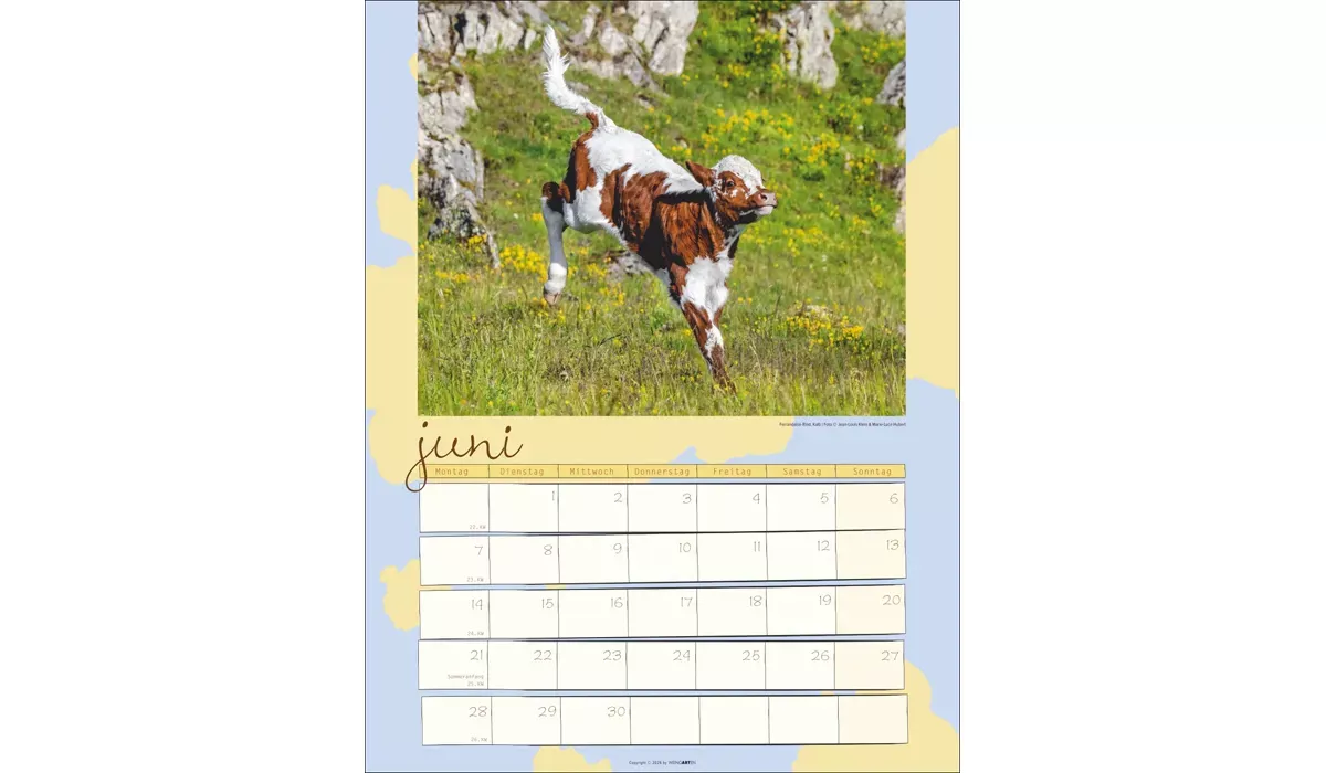 advertising calendar: Cow Calendar 2027