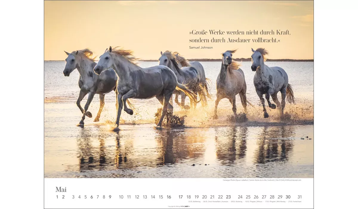 Weingarten Wege des Erfolgs Kalender 2027