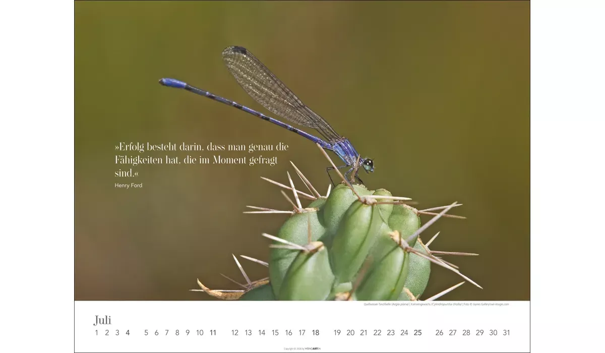 Weingarten Wege des Erfolgs Kalender 2027