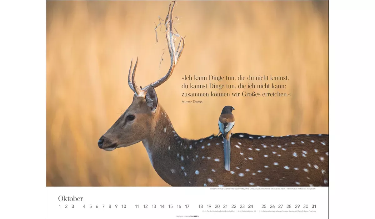 Weingarten Wege des Erfolgs Kalender 2027