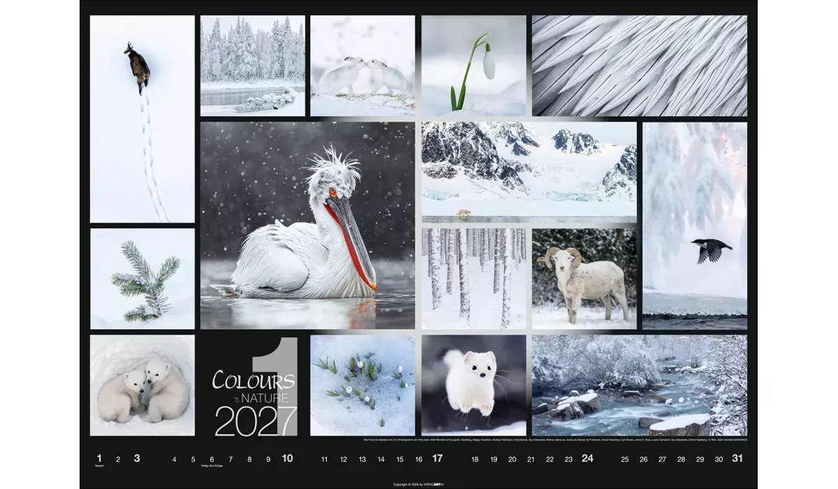 Weingarten Colours of Nature Kalender 2027