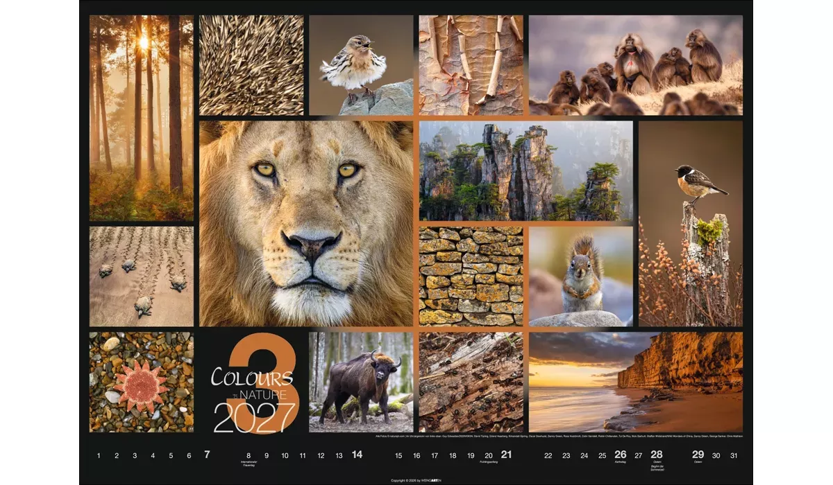 Weingarten Colours of Nature Kalender 2027