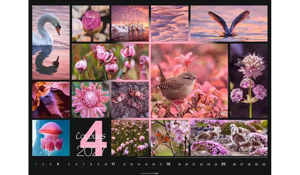 Weingarten Colours of Nature Kalender 2027