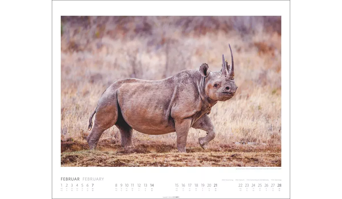 Weingarten African Wildlife Kalender 2027