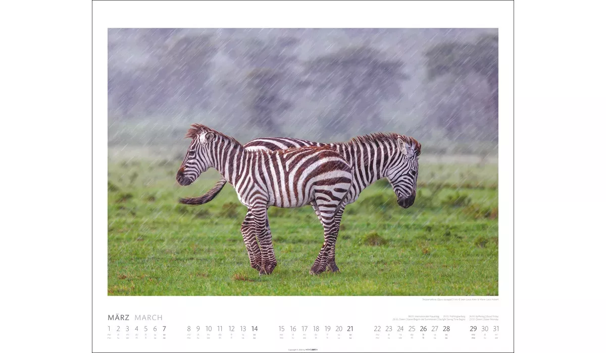 Weingarten African Wildlife Kalender 2027