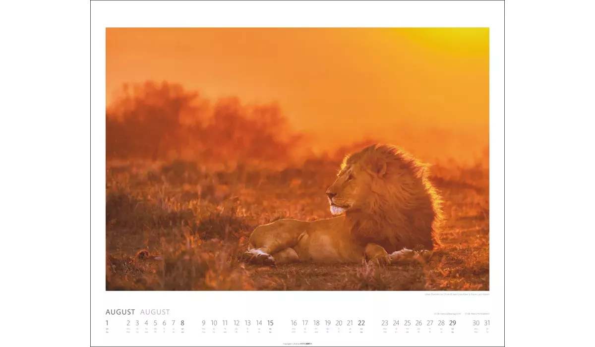 Weingarten African Wildlife Kalender 2027