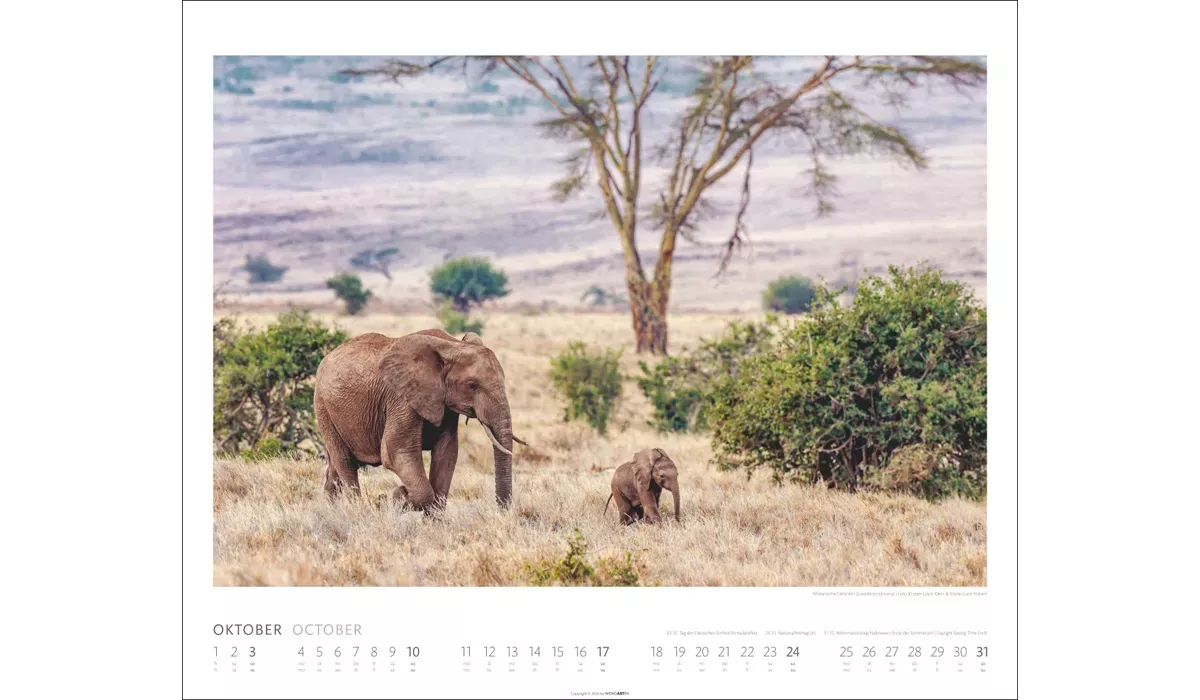 Weingarten African Wildlife Kalender 2027