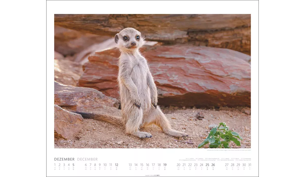 Weingarten African Wildlife Kalender 2027