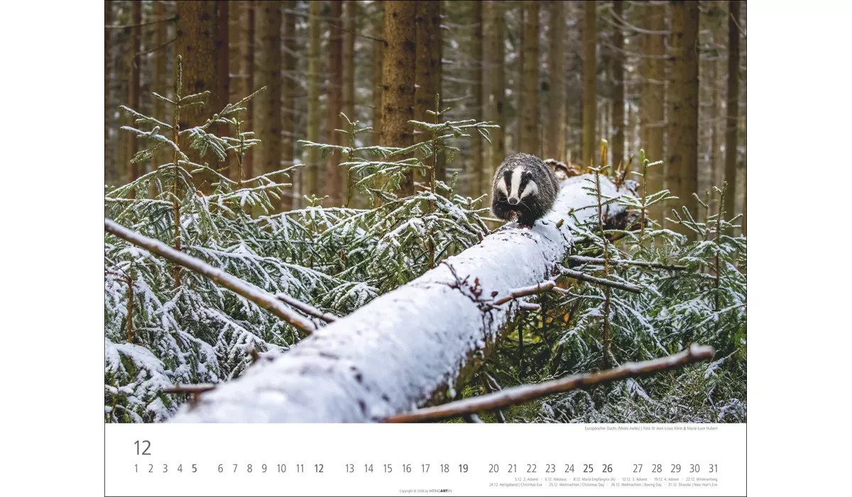 advertising calendar: Local Wildlife 2027