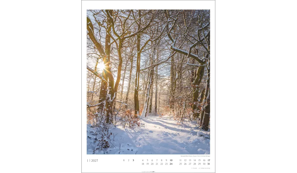 advertising calendar: Native Woodlands 2027