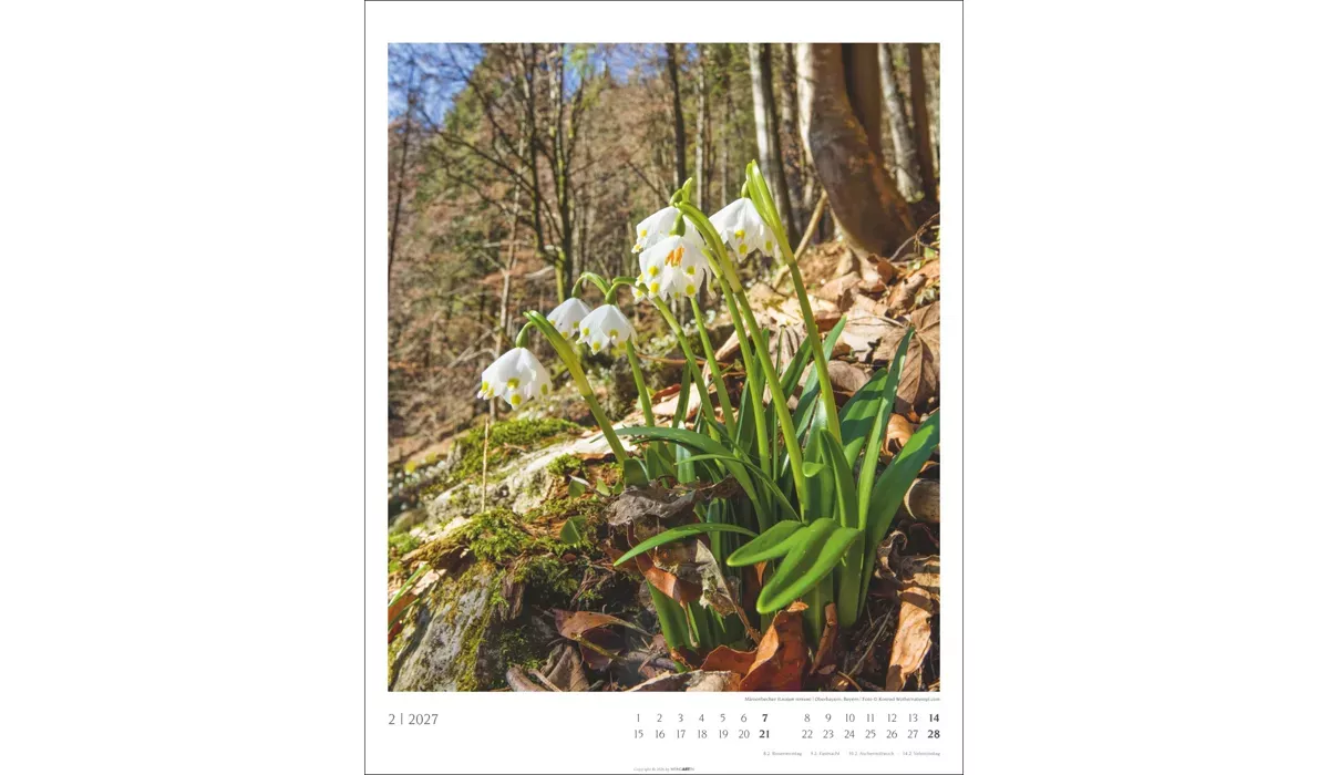 advertising calendar: Native Woodlands 2027