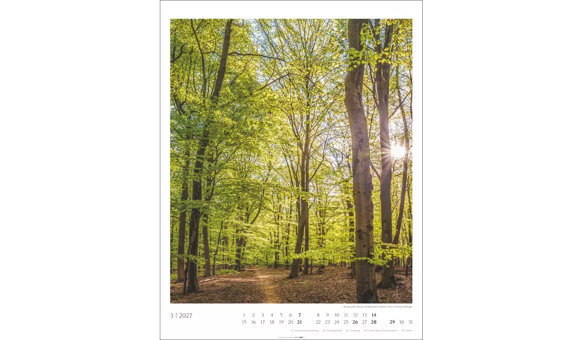 advertising calendar: Native Woodlands 2027
