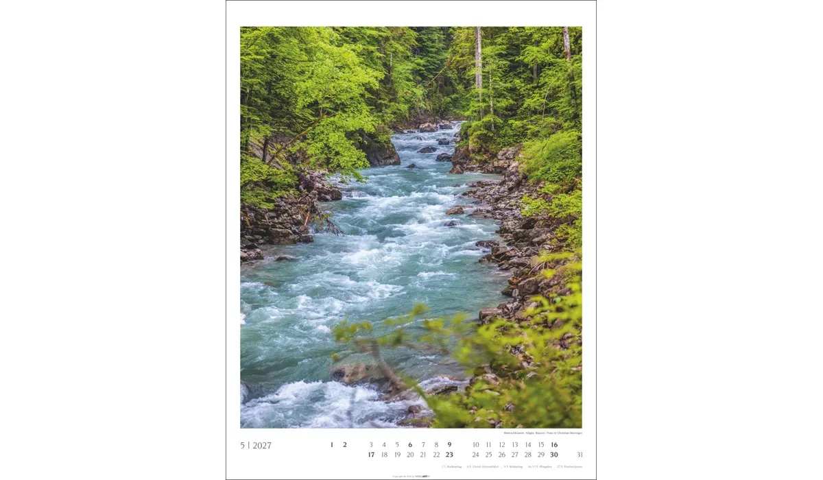 advertising calendar: Native Woodlands 2027