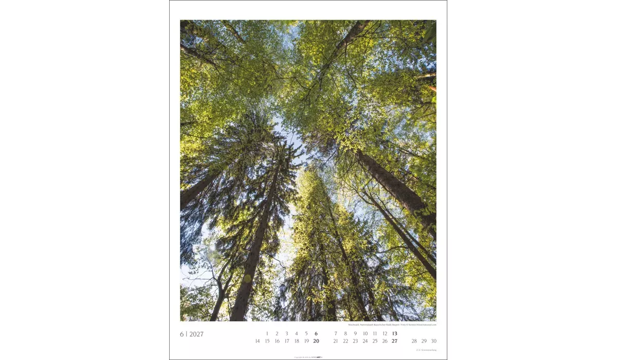advertising calendar: Native Woodlands 2027