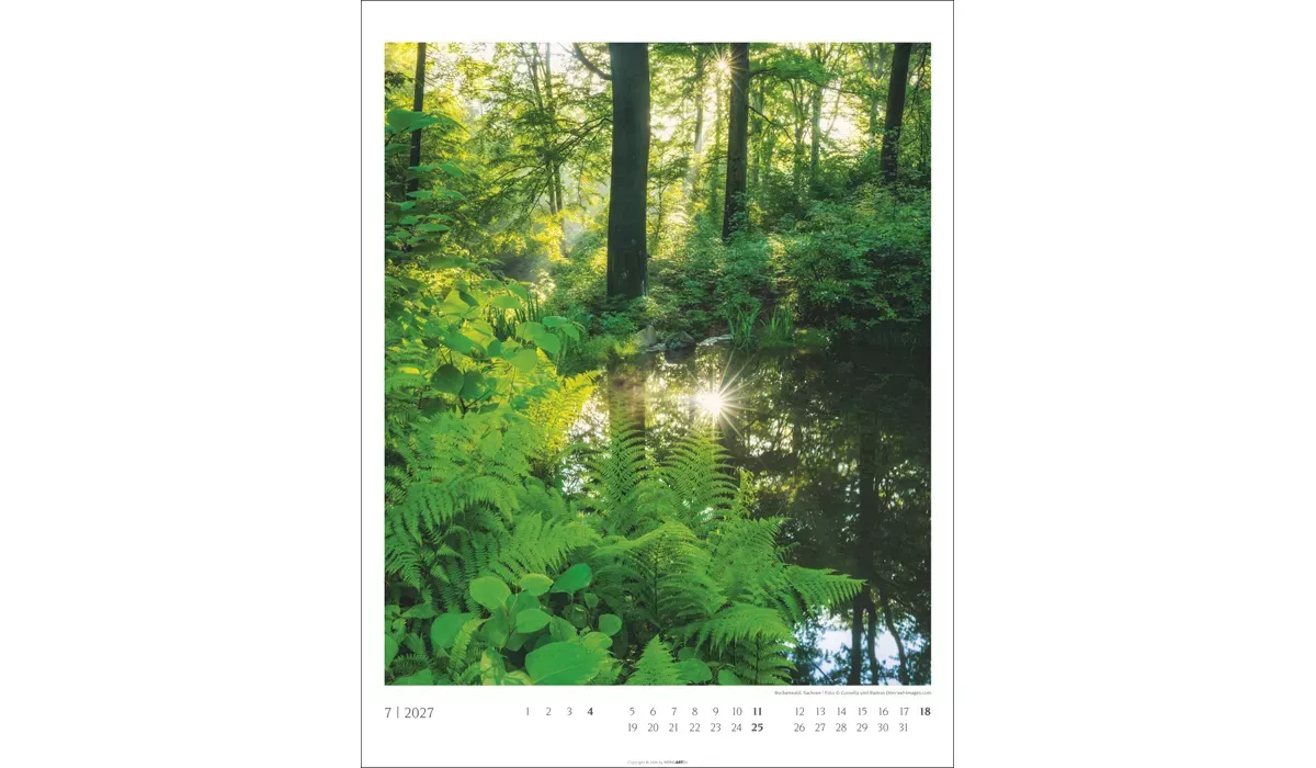 advertising calendar: Native Woodlands 2027