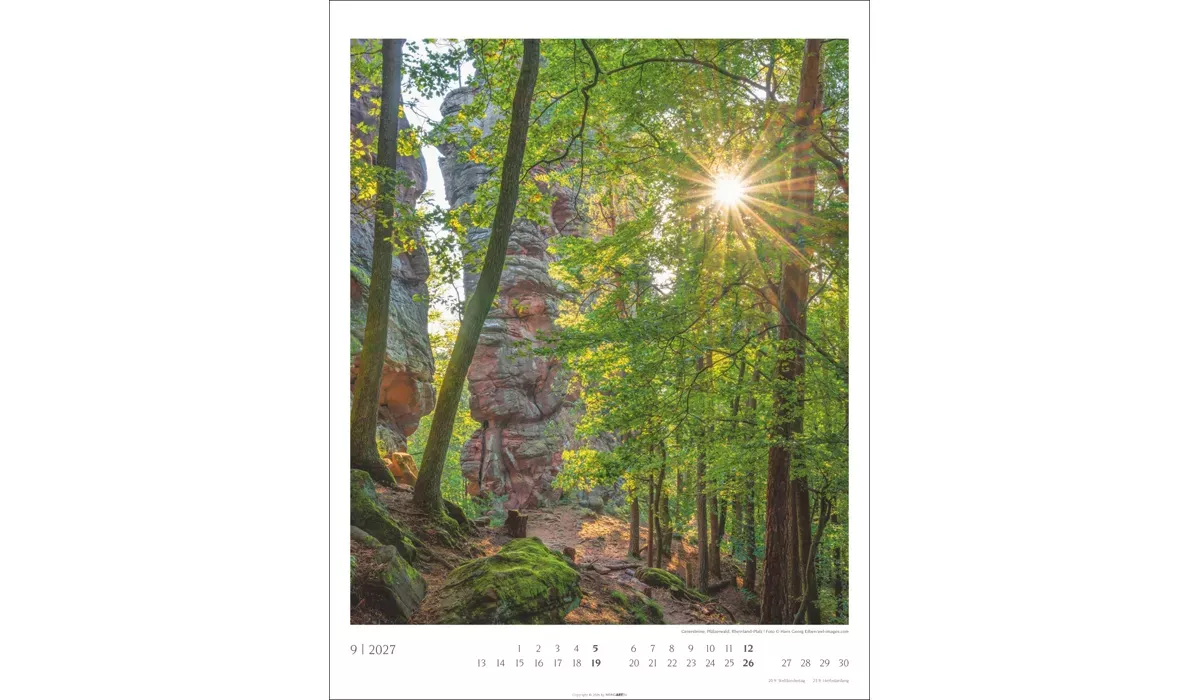 advertising calendar: Native Woodlands 2027