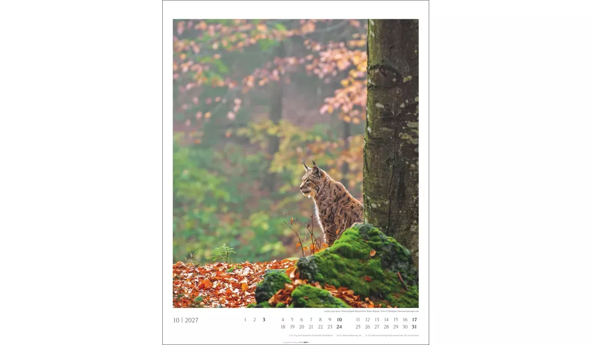 advertising calendar: Native Woodlands 2027