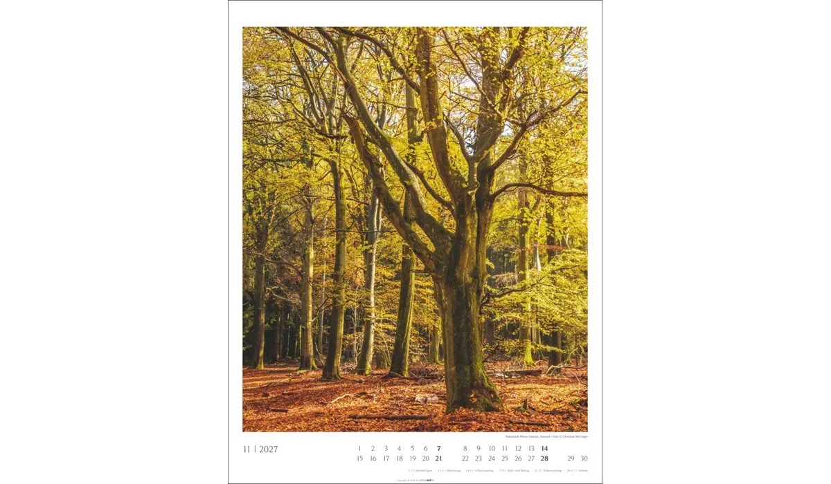 advertising calendar: Native Woodlands 2027