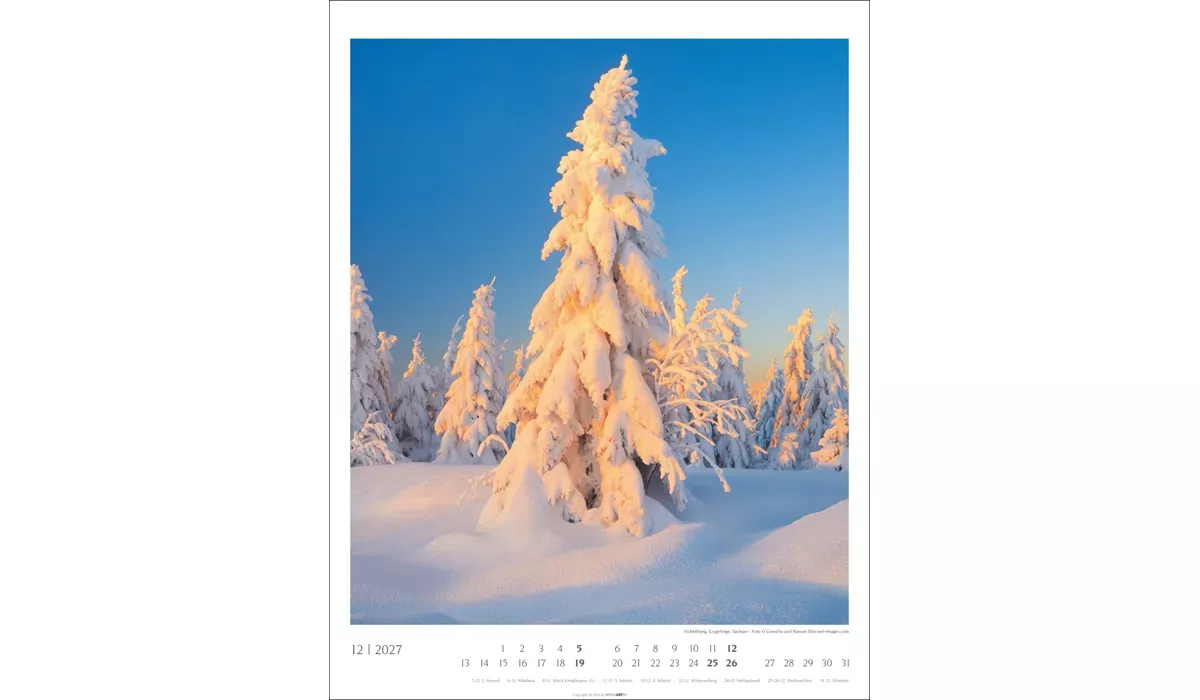 advertising calendar: Native Woodlands 2027