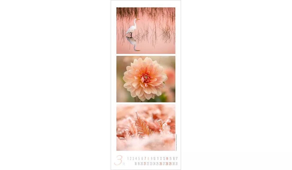 Colour Triplets Kalender 2027