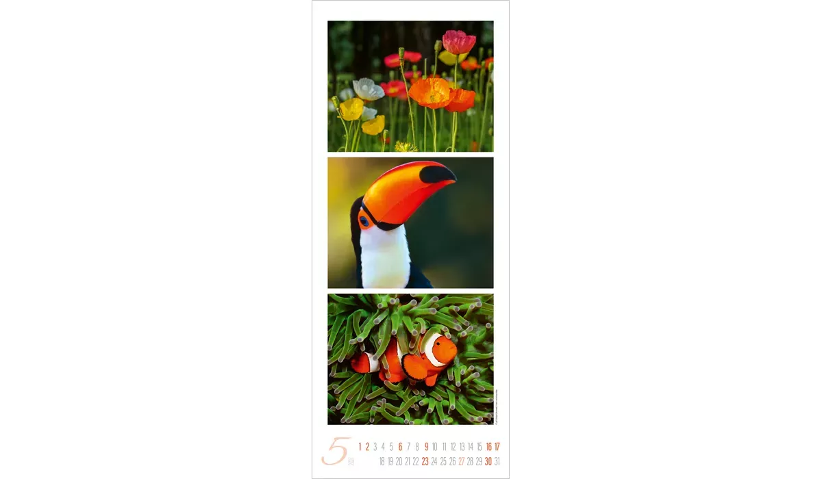 Colour Triplets Kalender 2027