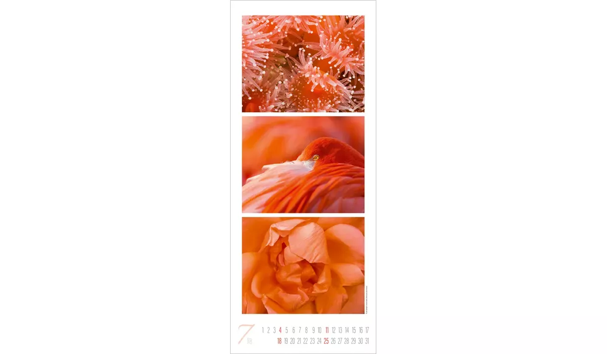 Colour Triplets Kalender 2027
