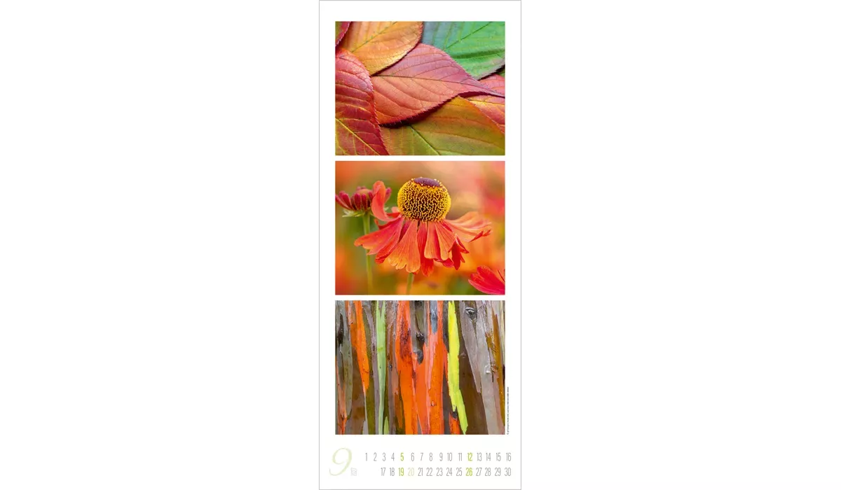 Colour Triplets Kalender 2027